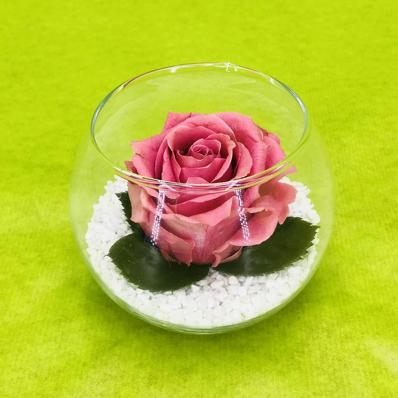 Bouton de rose stabilisée éternelle de couleur rose | FLOR'M by Nico Fleur