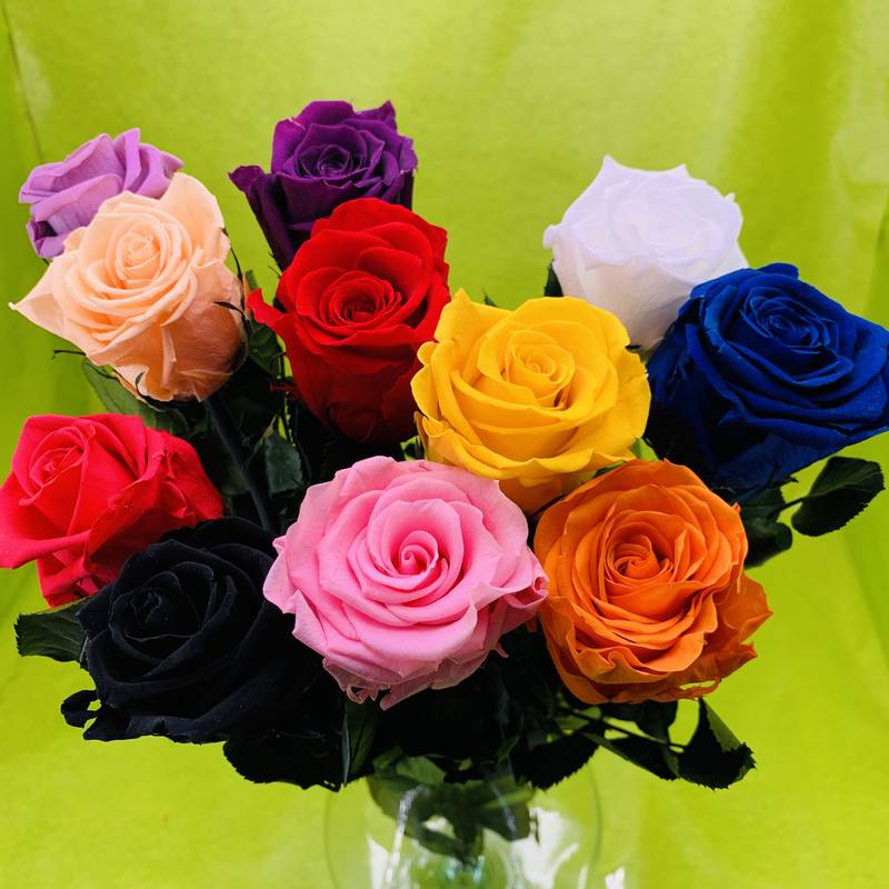 Bouquet de 11 roses éternelles stabilisées avec tiges 50 centimètres |  FLOR'M by Nico Fleur