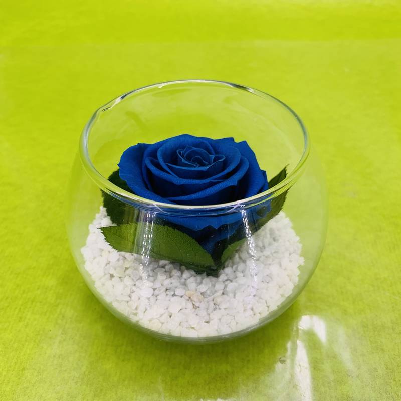 Bouton de rose stabilisée éternelle de couleur bleu | FLOR'M by Nico Fleur