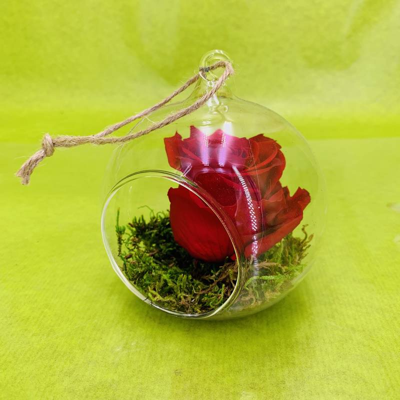 Bouton de rose rouge stabilisée éternelle boule à suspendre. | FLOR'M by  Nico Fleur