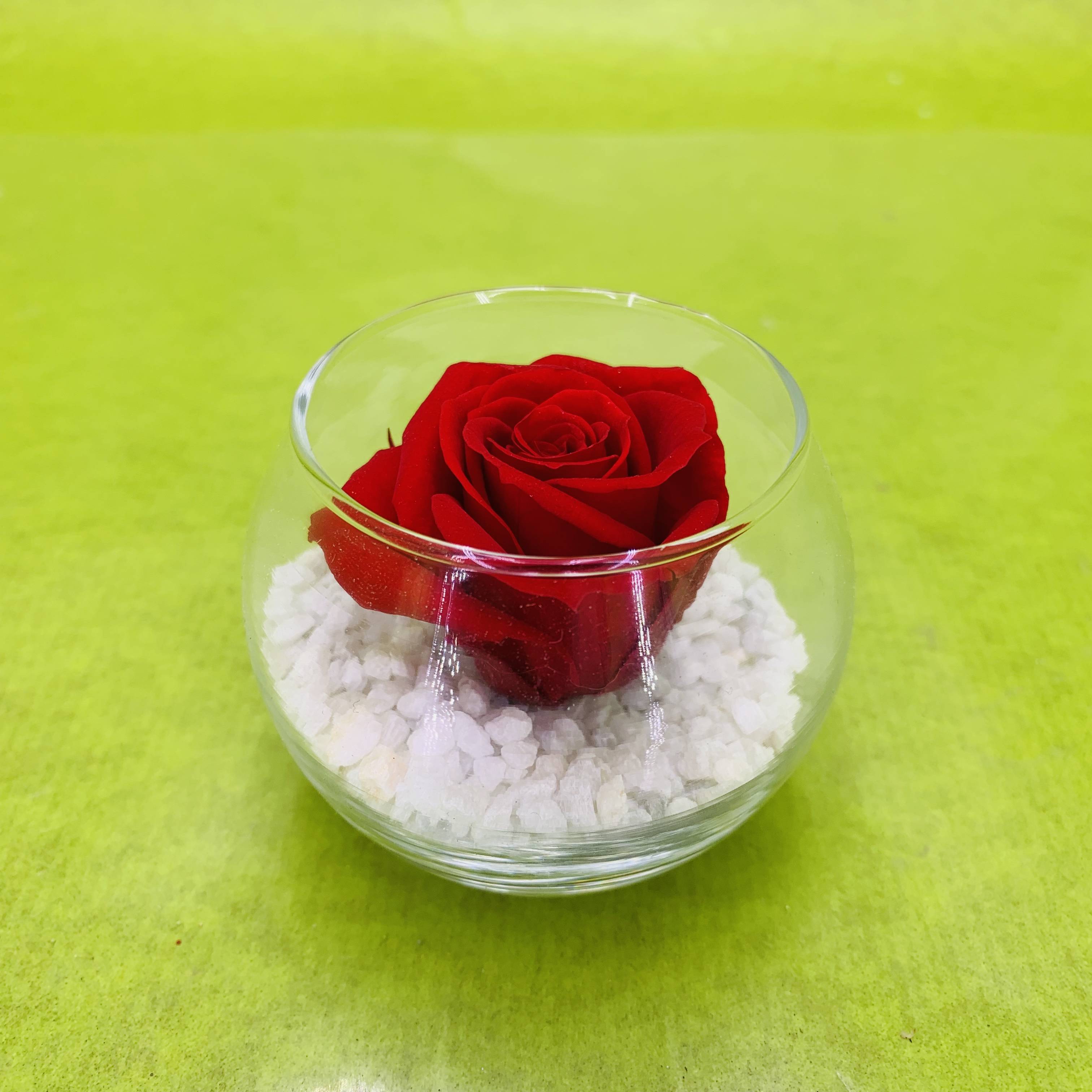 Bouton de rose stabilisée éternelle de couleur rouge petit modèle | FLOR'M  by Nico Fleur