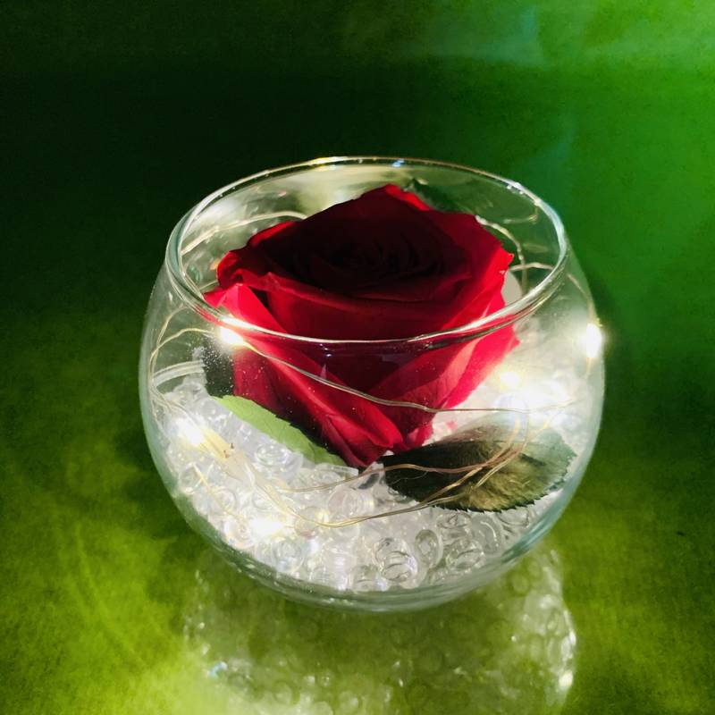 Bouton de rose rouge stabilisée éternelle, guirlande LED. | FLOR'M by Nico  Fleur