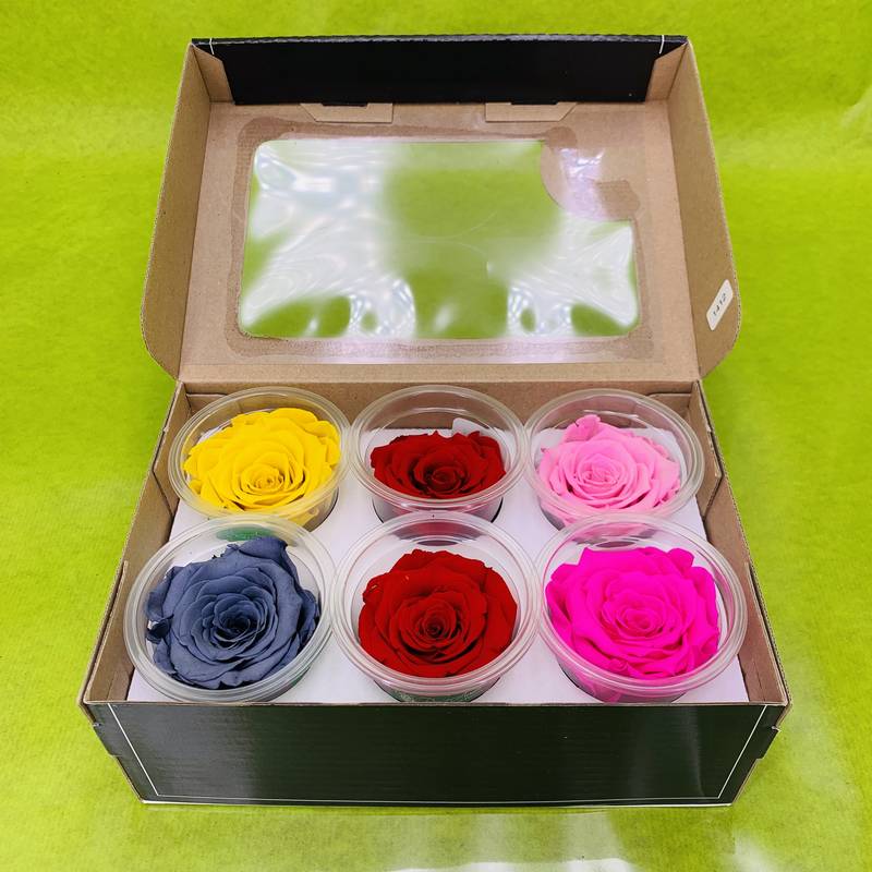 Box de 6 boutons de roses stabilisées (mixte) | FLOR'M by Nico Fleur
