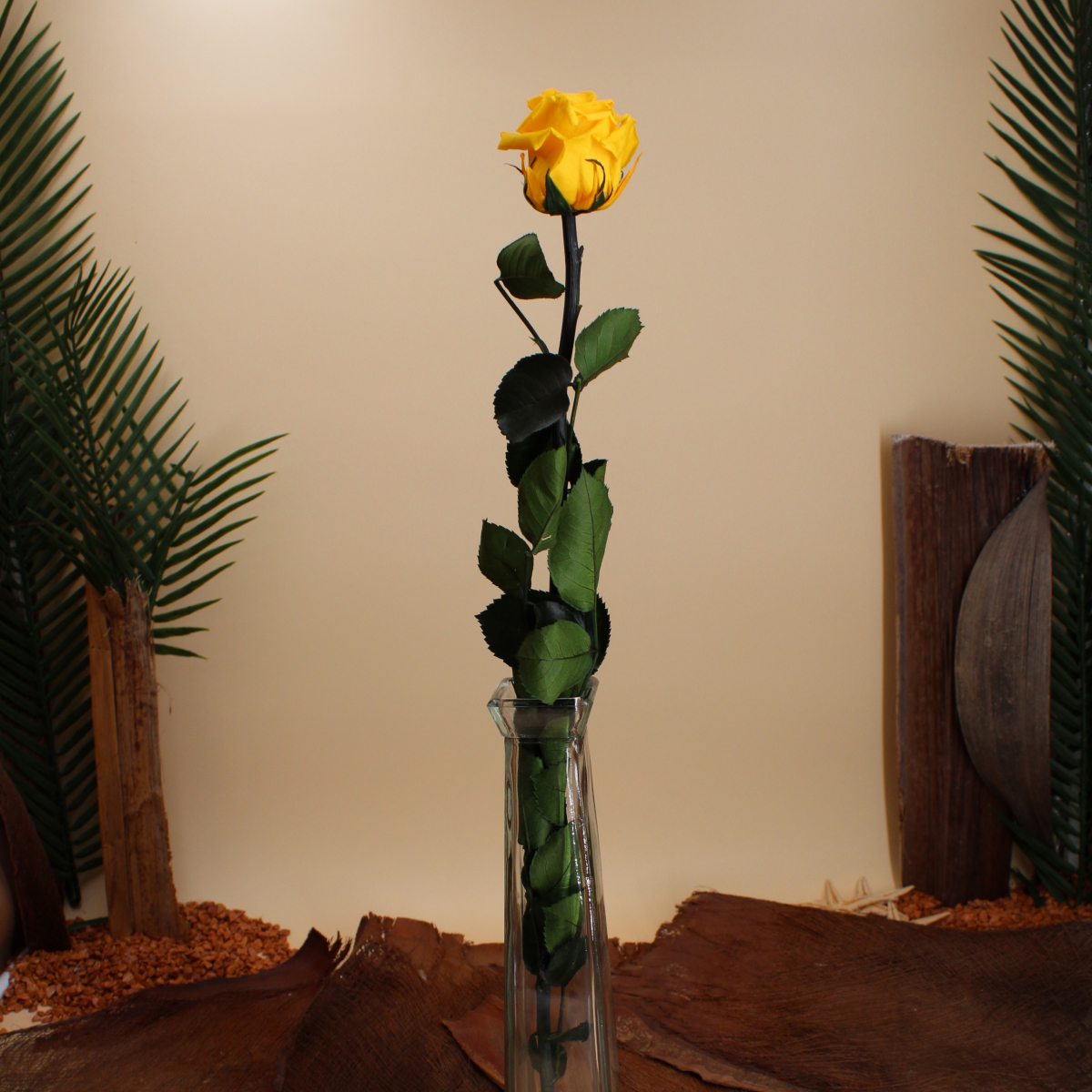 Rose éternelle stabilisée jaune avec tige 50 centimètres | FLOR'M by Nico  Fleur