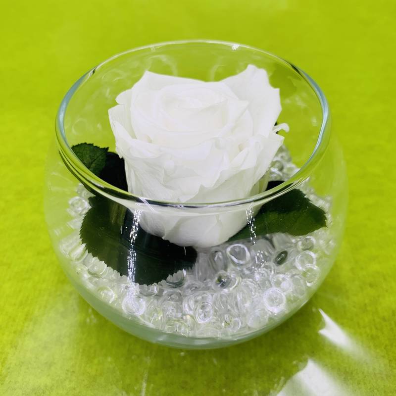 Vase boule avec bouton de rose blanc stabilisé éternel et perles de pluie  blanche. | FLOR'M by Nico Fleur