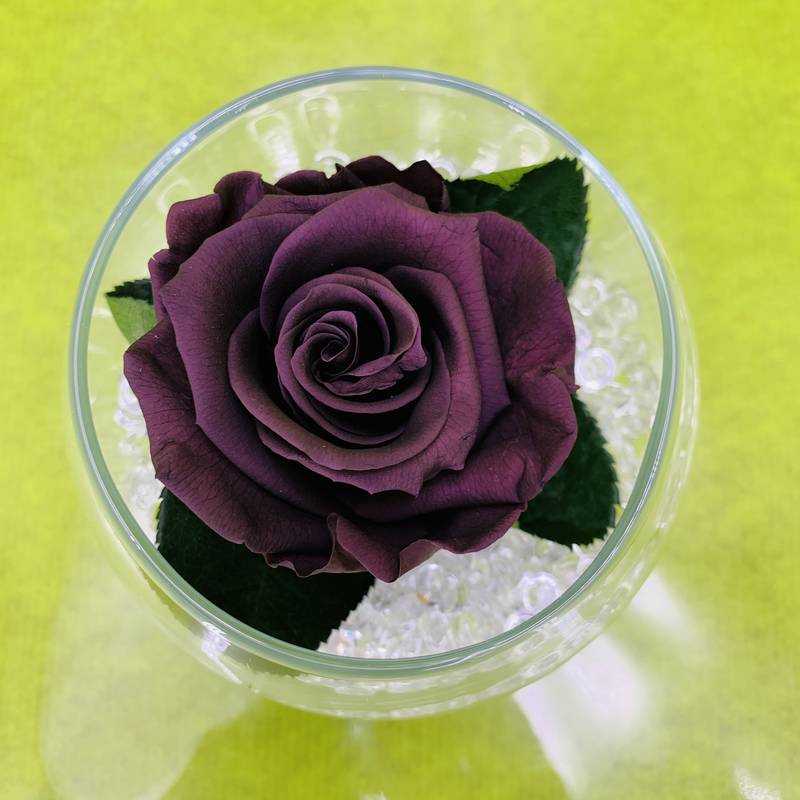 Vase boule avec bouton de rose violet stabilisé éternel et perles de pluie  blanche. | FLOR'M by Nico Fleur