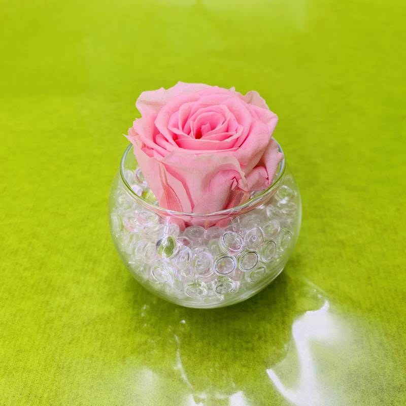 Mini vase boule avec petit bouton de rose rose stabilisé éternel. | FLOR'M  by Nico Fleur