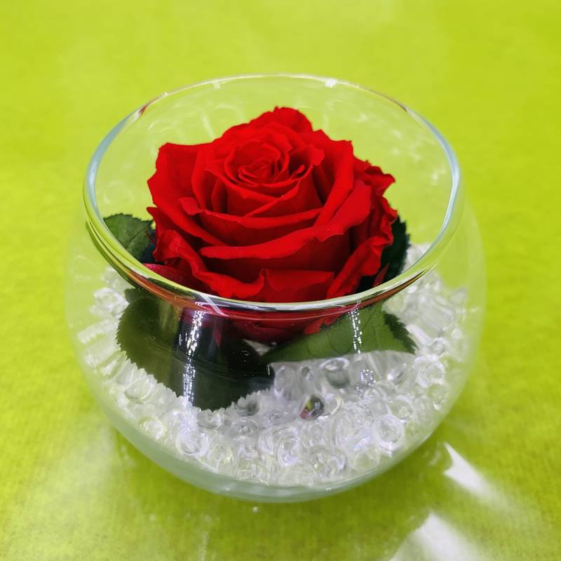 Vase boule avec bouton de rose rouge stabilisé éternel et perles de pluie  blanche. | FLOR'M by Nico Fleur