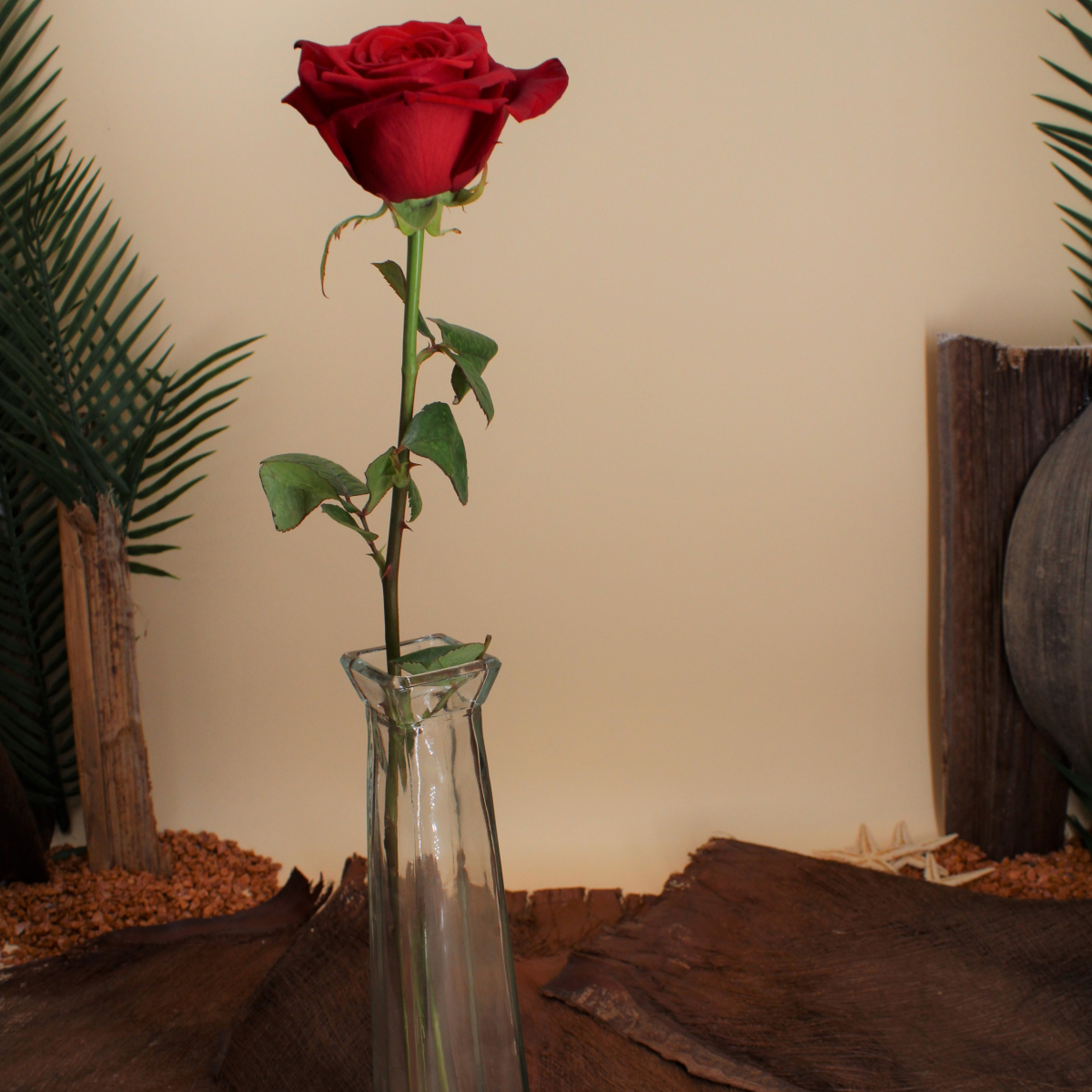 Petite rose rouge Naomi naturelle 50 cm | FLOR'M by Nico Fleur