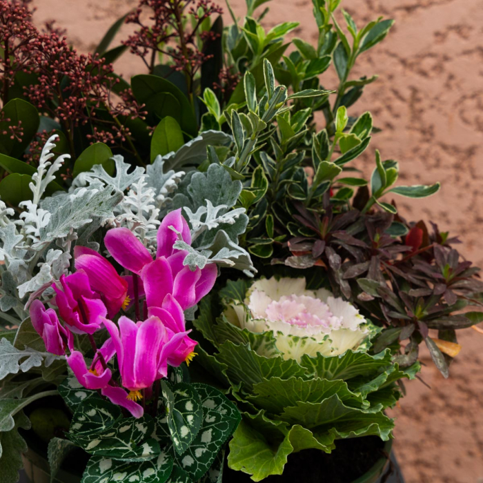 Coupe non gélive 5 plantes et pic de fleurs artificielles. – Image 2