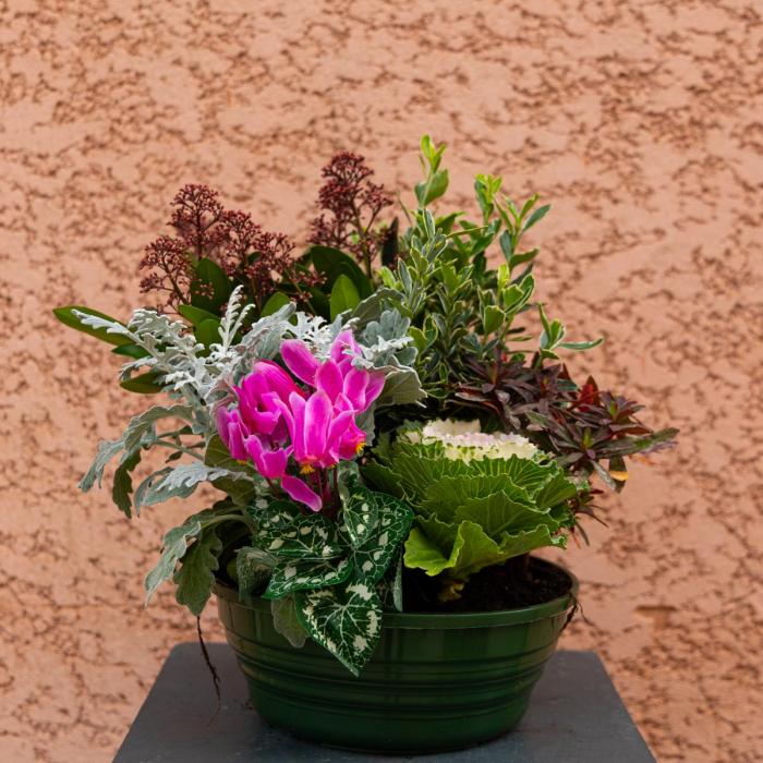 Coupe non gélive 5 plantes et pic de fleurs artificielles.