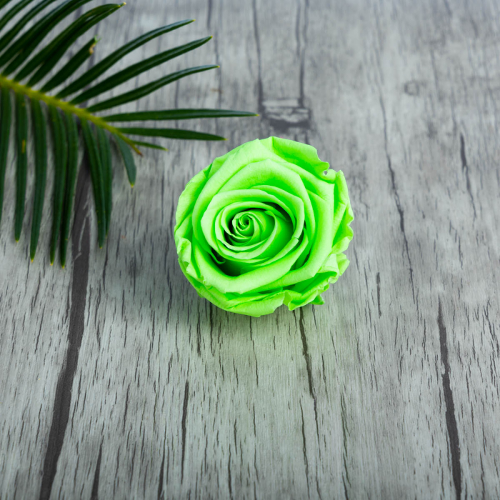 Bouton vert fluo rose éternelle