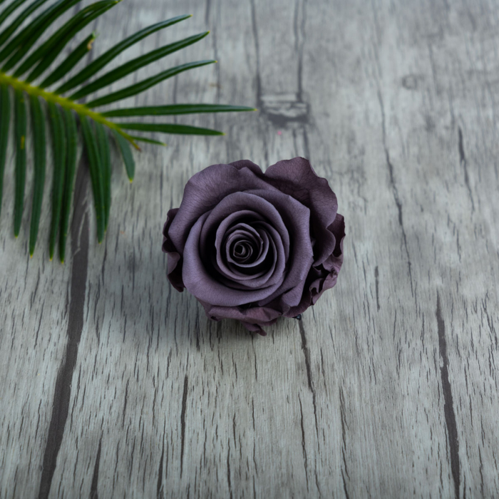 Bouton violet rose éternelle