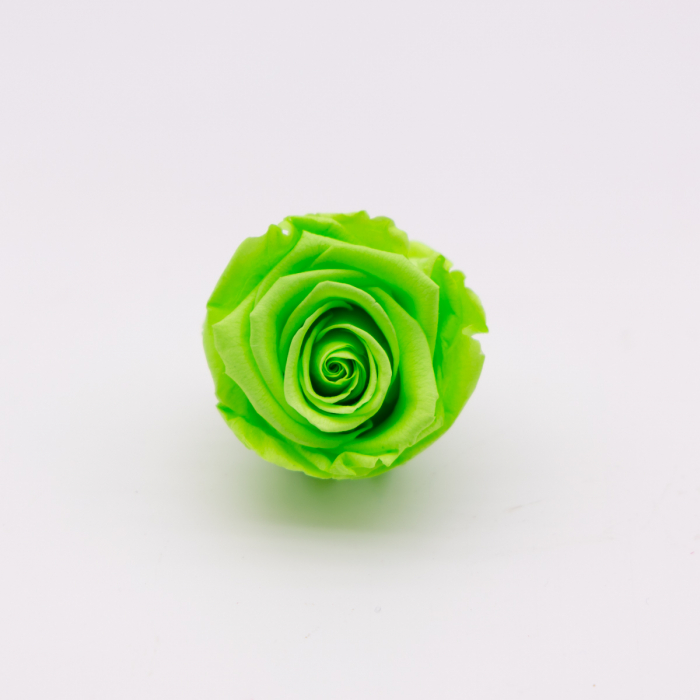 Bouton vert fluo rose éternelle – Image 2