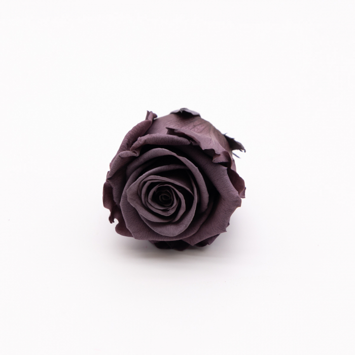 Bouton violet rose éternelle – Image 2